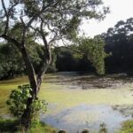 Wilpattu National Park Entrance Ticket with Private Safari - The Value of This Tour