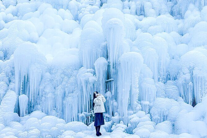 Winter Wonderland Healing Park and Gyeongju/Daegu Tour from Busan - Gyeongju: A Taste of Korea’s Cultural Heart (Gyeongju Version)