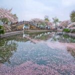 Wuxi Lingshan Buddhist Scenic Spot and Tai Lake Private Tour - Who Will Love This Tour?