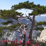 Xian: Hua Mountain Hiking Morning Ticket - Adult - Why Mount Hua Is a Must-Visit for Adventure and Culture Seekers