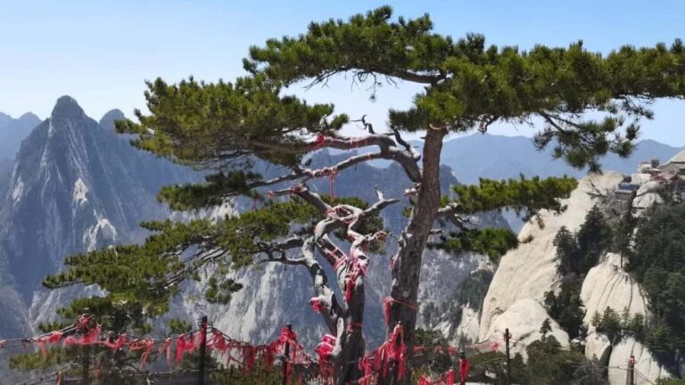 Xian: Hua Mountain Hiking Morning Ticket - Adult - Why Mount Hua Is a Must-Visit for Adventure and Culture Seekers