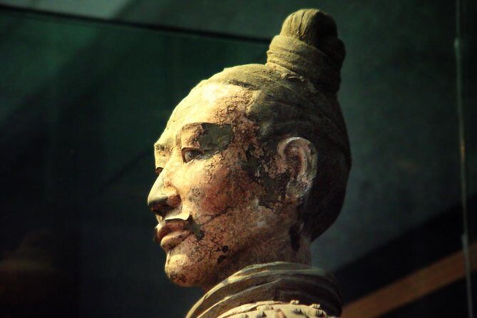 Xian Terracotta Warriors Private Day Tour, No Shopping - Who Will Love This Tour?
