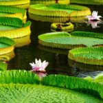 Xishuangbanna: Botanical Garden and Dai Garden 1-Day Tour - Why This Tour Offers Good Value