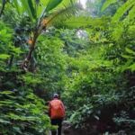 Xishuangbanna: hiking in the rain forest of Jinuo Mountain - Introduction to the Jinuo Mountain Rainforest Experience