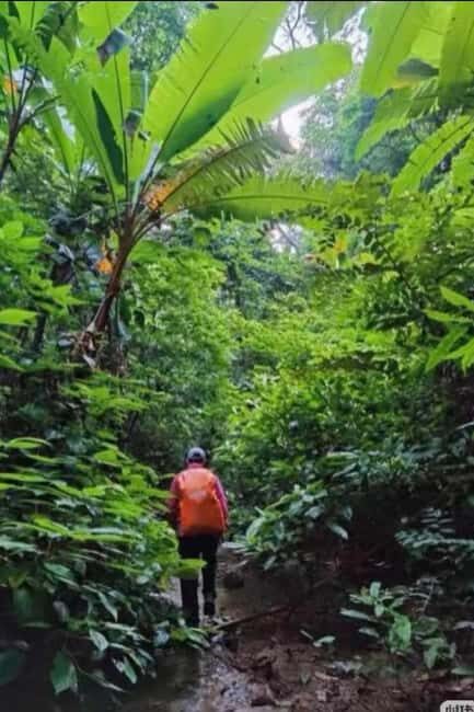 Xishuangbanna: hiking in the rain forest of Jinuo Mountain - Introduction to the Jinuo Mountain Rainforest Experience