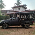 Yala National Park: Block 5 Special Evening/Morning Safari - What to Expect on the Day