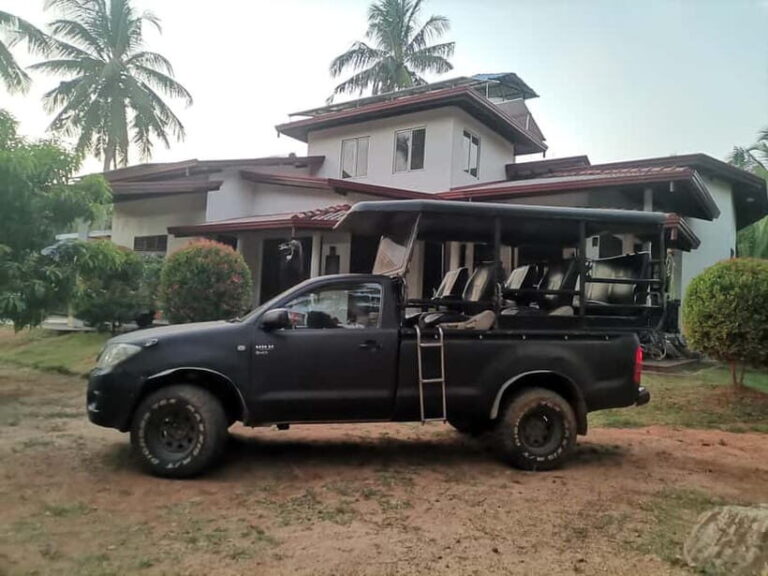 Yala National Park: Block 5 Special Evening/Morning Safari - What to Expect on the Day