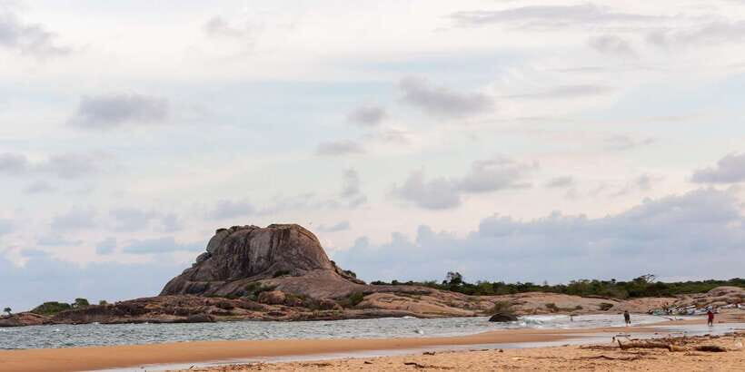 Yala National Park: Half, 7-Hour, or Full-Day Safari & Meals - The Itinerary Breakdown