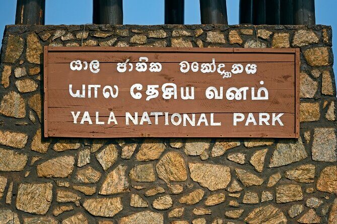 Yala National Park Half Day / Full Day Special Safari Tours - A Deep Dive into the Yala Safari Experience