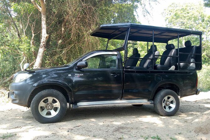 Yala National Park Safari Half Day and Full Day Tours - A Deeper Look at Yala National Park Safari Tours