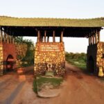 Yala National Park Safari - Private Tour - An In-Depth Look at the Yala National Park Safari Experience