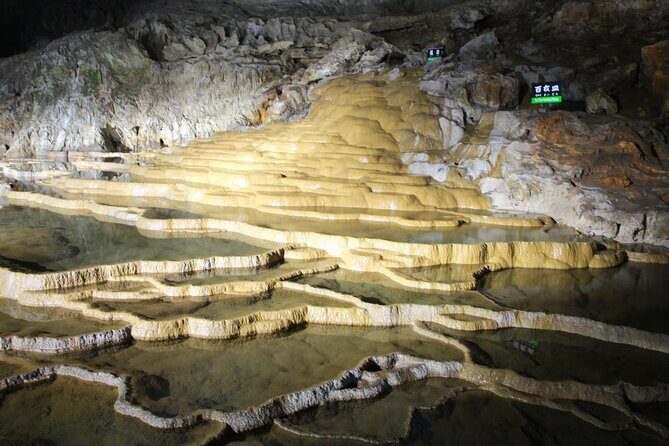 Yamaguchi 4 Highlights & Karato Market 1Day Tour from Fukuoka - Final Thoughts