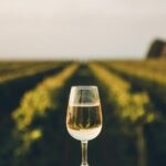 Yamanashi Koshu Winery Private Tour with Licensed Guide & Vehicle - Exploring the Yamanashi Koshu Winery Private Tour