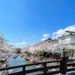 Yanagawa Private River Cruise with Local Boatman - The Itinerary: What to Expect on Your Cruise