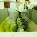 Yanagawa River Cruise and Yame Tea Fukuoka Private Tour - Final Thoughts