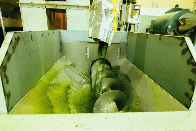 Yanagawa River Cruise and Yame Tea Fukuoka Private Tour - Final Thoughts