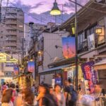 Yanaka and Nezu Walking Tour Discover The Edo Spirit - An In-Depth Look at the Itinerary