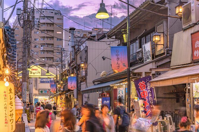 Yanaka and Nezu Walking Tour Discover The Edo Spirit - An In-Depth Look at the Itinerary