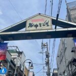 Yanaka & Ueno Tokyo's Old Town Charm - Temple, market,Retro Vibes - Practical Details and Insights