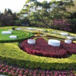 Yangmingshan National Park & Hot Spring Tour (afternoon ) - Key Points