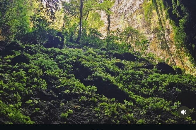 Yogyakarta Jomblang Cave and Pindul Cave Tour - Key Points