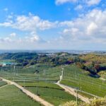 YokaBus Heritage in a Cup of a Yame Tea & Sake Tasting Expedition - Who Should Take This Tour?