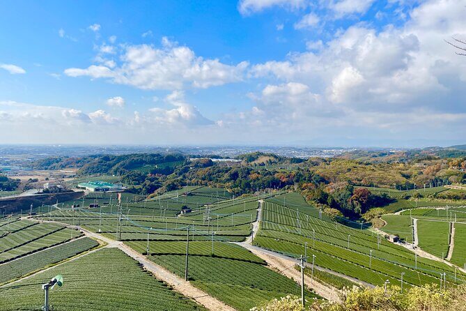 YokaBus Heritage in a Cup of a Yame Tea & Sake Tasting Expedition - Who Should Take This Tour?