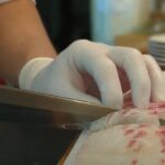 YokaBus Sushi Academy Fukuoka, Munakata Shrine and Kokura Cruise - Exploring the Itinerary in Detail