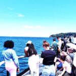 Yokosuka: Guided Island Tour to Sarushimas Forgotten Fort - A Deep Dive into the Sarushima Guided Tour Experience