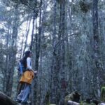 Yunnan: 3-Day Hiking Tour of Haba Snow Mountain - In-Depth Review of the 3-Day Haba Snow Mountain Tour