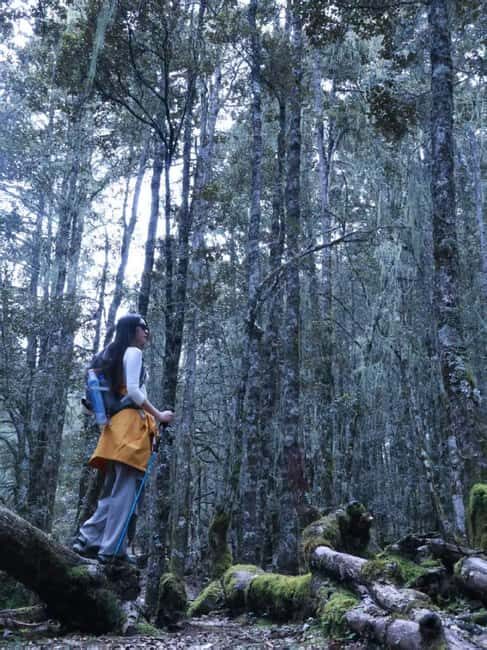 Yunnan: 3-Day Hiking Tour of Haba Snow Mountain - In-Depth Review of the 3-Day Haba Snow Mountain Tour