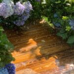 Yunnan Dali Erhai 3 Pagodas of Chongsheng Temple One Day Tour - Authenticity and Value