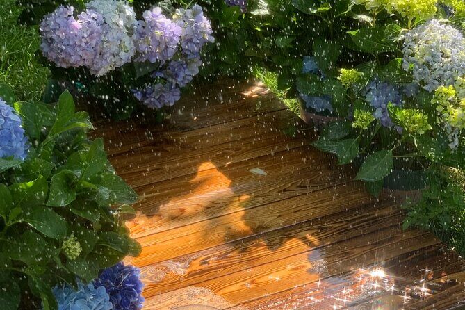 Yunnan Dali Erhai 3 Pagodas of Chongsheng Temple One Day Tour - Authenticity and Value