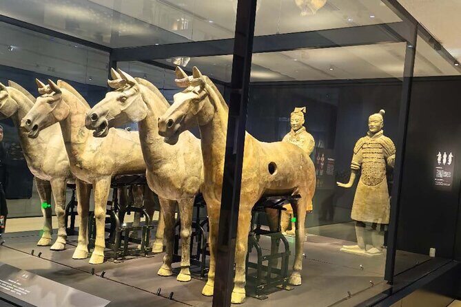 ZANBUS: Xi'an Qin Terra-cotta Warriors Bus Tour Departs at 8/9 AM - FAQ