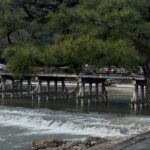 Zen Run in Arashiyama - The Sum Up