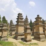 Zhengzhou Private Tour to Shaolin Temple including Kungfu Lesson and Activities - Analysis of Value and Practicality