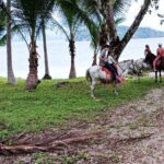 1 1/2 hours Tour Horseback Riding and Visiting the Beach - Who Should Consider This Tour?