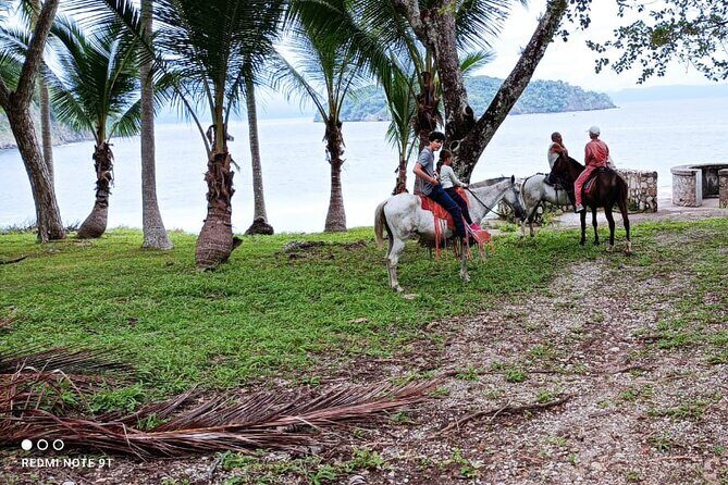 1 1/2 hours Tour Horseback Riding and Visiting the Beach - Who Should Consider This Tour?
