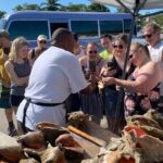 1.5 Hour Bahamas Special City Tour and Nassau City Tour Package - Who Should Consider This Tour?