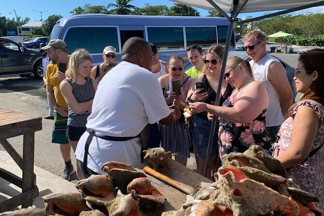 1.5 Hour Bahamas Special City Tour and Nassau City Tour Package - Who Should Consider This Tour?