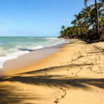 1-day excursion to Cumbuco Beach - Exploring Cumbuco: A Natural Playground