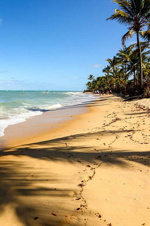1-day excursion to Cumbuco Beach - Exploring Cumbuco: A Natural Playground