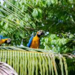 1 Day Horseback Riding at a Real Ranch from Medellin - Authenticity & Value