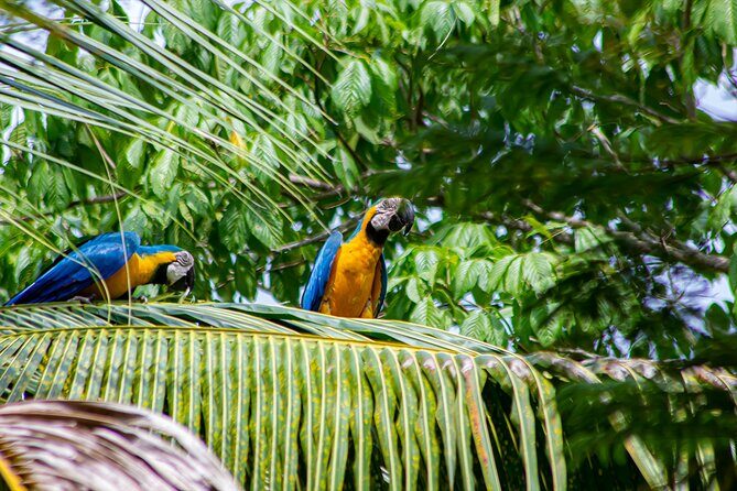 1 Day Horseback Riding at a Real Ranch from Medellin - Authenticity & Value