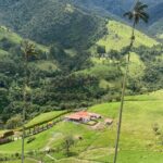 1 Day Private Tour in Cocora Valley Hike - What Makes This Tour Stand Out?