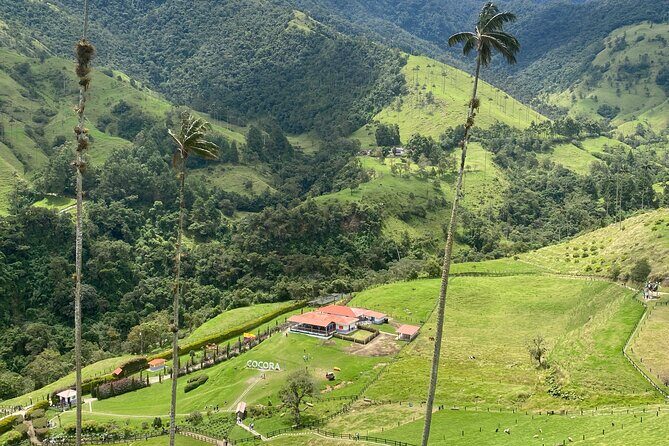 1 Day Private Tour in Cocora Valley Hike - What Makes This Tour Stand Out?