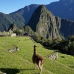 1 Day Tour to Machu Picchu by Train (group service) - Authentic Experiences and Traveler Feedback