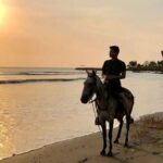 1-hour horseback ride on the beaches of Manzanillo del Mar - Who Would Love This Tour?