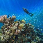 1 Hour Private Snorkeling Activity In Montego Bay - Frequently Asked Questions