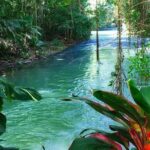 #1 Martha brea bamboo rafting - The Transportation: Comfort and Convenience